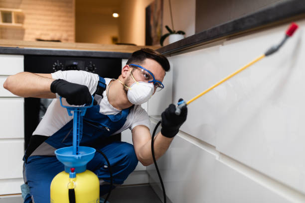 Best Wasp Removal Services  in West Conshohocken, PA